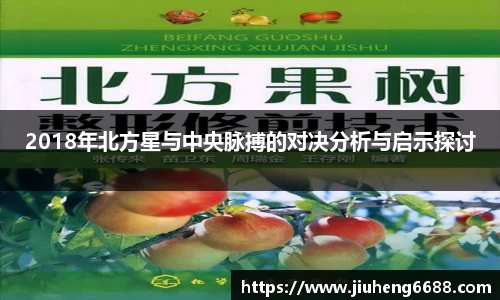 2018年北方星与中央脉搏的对决分析与启示探讨